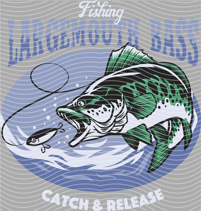 Fishing Series-DY 238